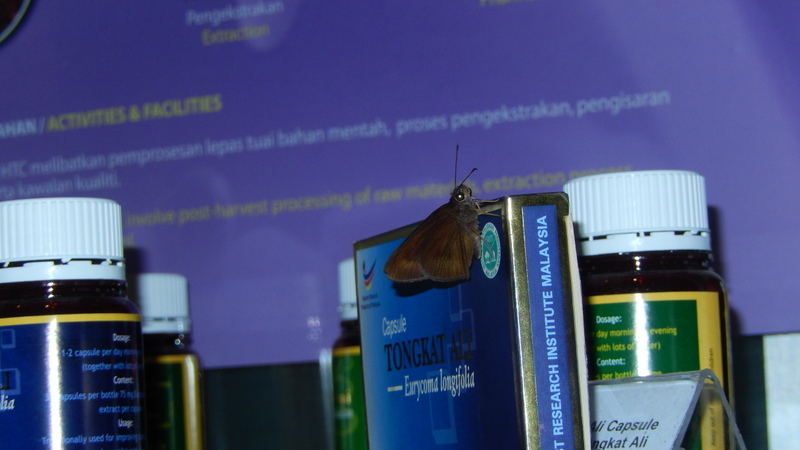 0826 DSCN0759
